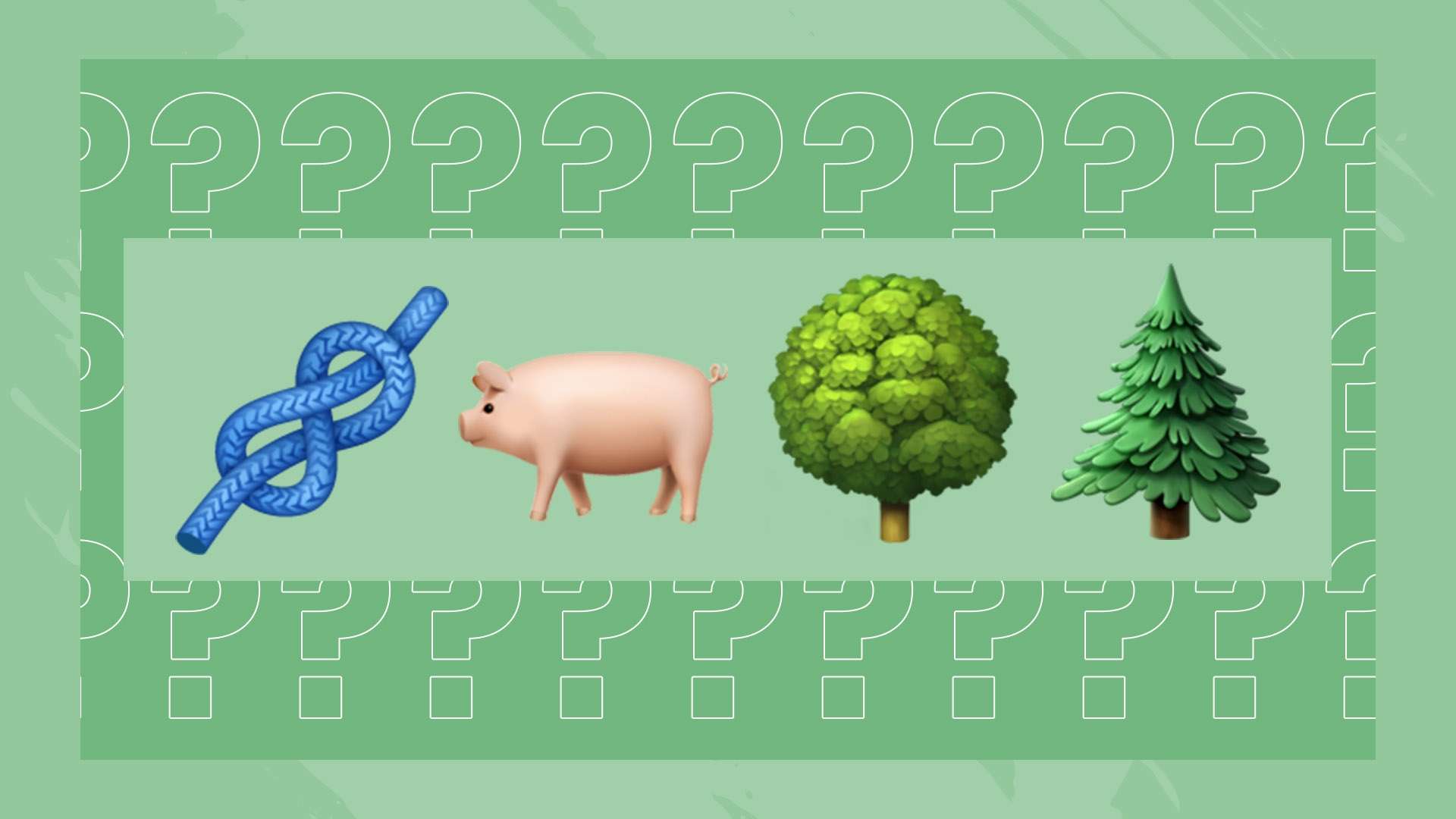 机会与挑战 机会与挑战